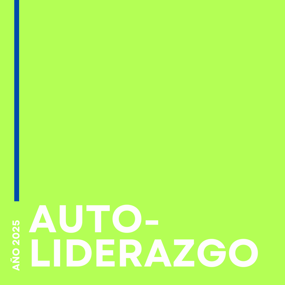 año 2025 (3)